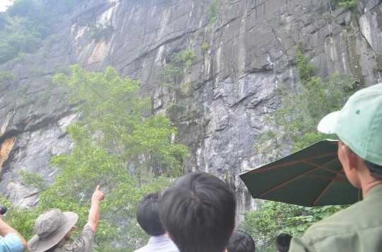 Quảng[-]Bình:[-][-]Ngừng[-]cứu[-]hộ[-]voọc[-]con[-]vì[-]vách[-]đá[-]quá[-]nguy[-]hiểm